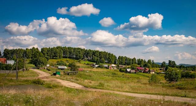 Дороги, свет и хлеб за 760 рублей: что обсуждали жители Дубинино с главой Белорецкого района