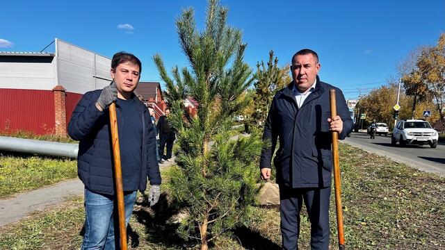 В Белорецке обновили зелёные насаждения на улице Тюленина