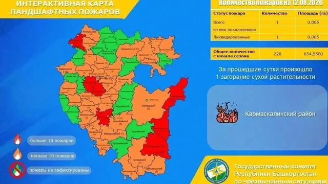 В Зианчуринском районе Башкирии произошёл лесной пожар